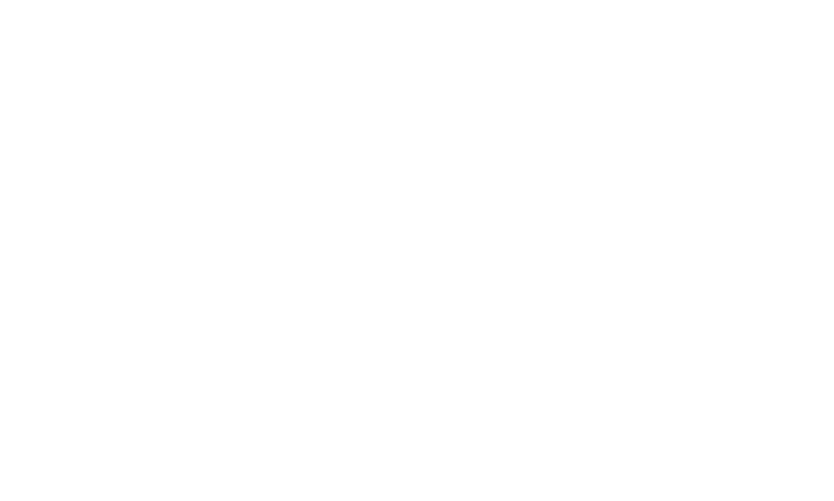 SDSN Youth Logo