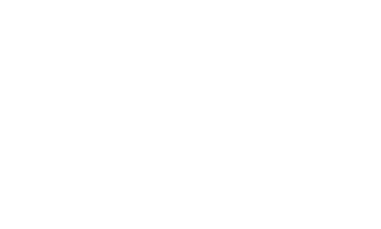 Youth Business International Logo