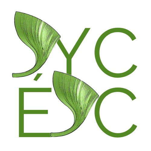 Sustainable Youth Canada_logo